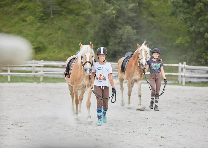 阿亨湖家庭天堂运动酒店 - 仅限家庭 酒店