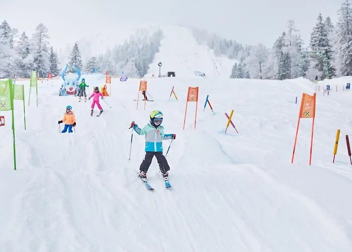 酒店 阿亨湖家庭天堂运动酒店 - 仅限家庭