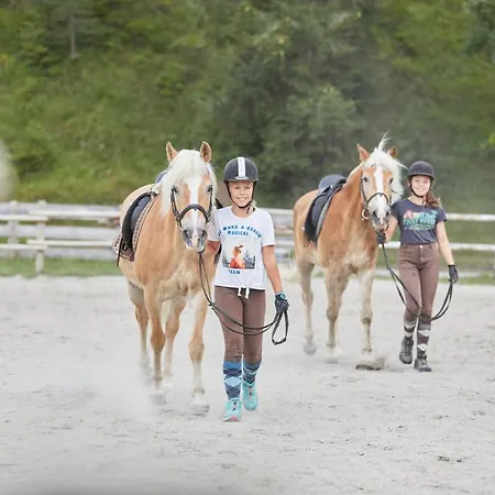 Familienparadies Achensee - Families Only Otel