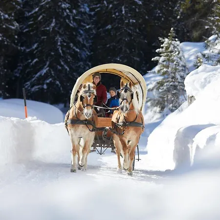 Hotel Familienparadies Achensee - Families Only 4*